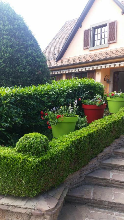 Les Chambres Chez Christine Ottrott Bagian luar foto
